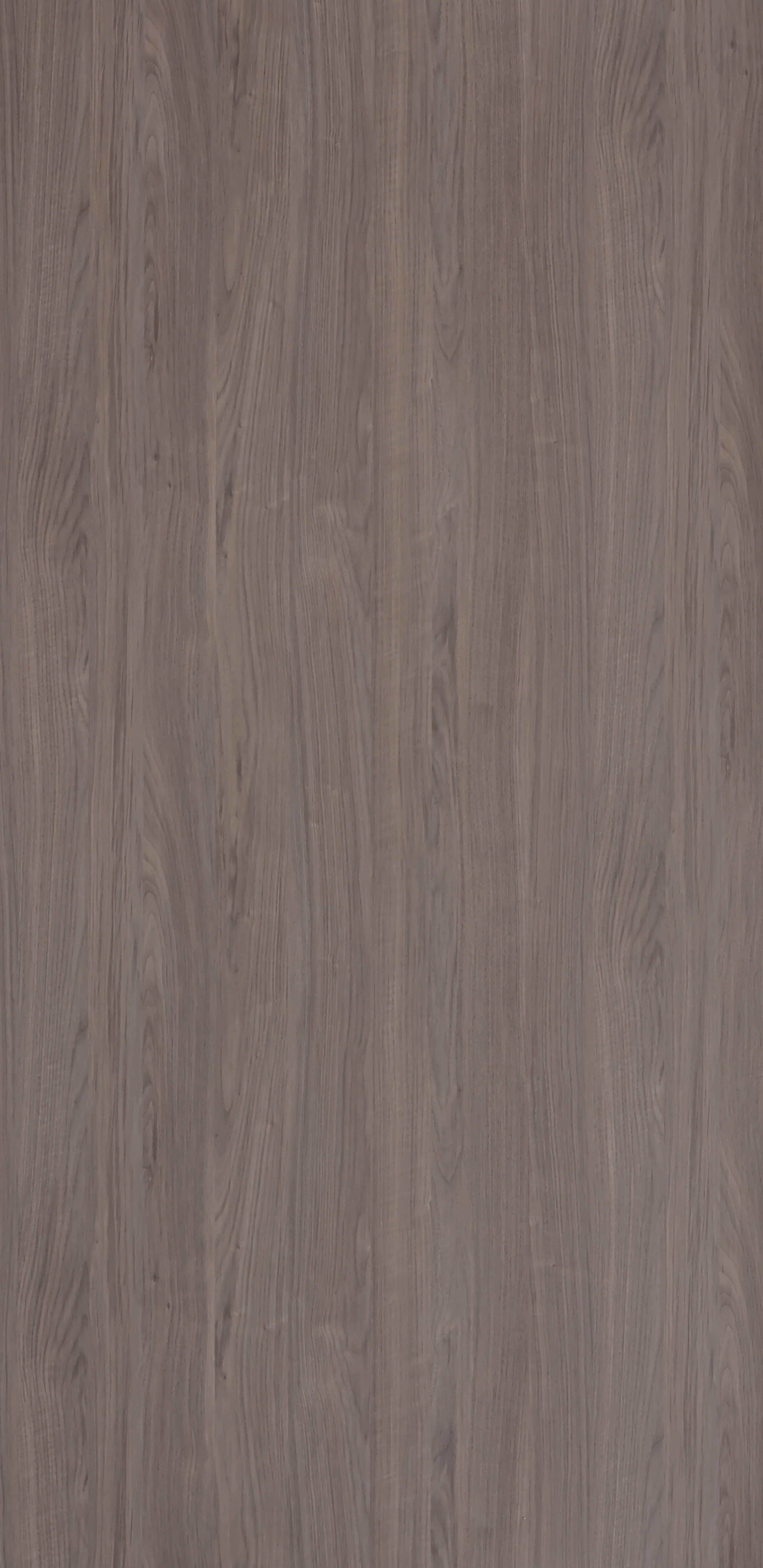 Noce Walnut - GL 15403