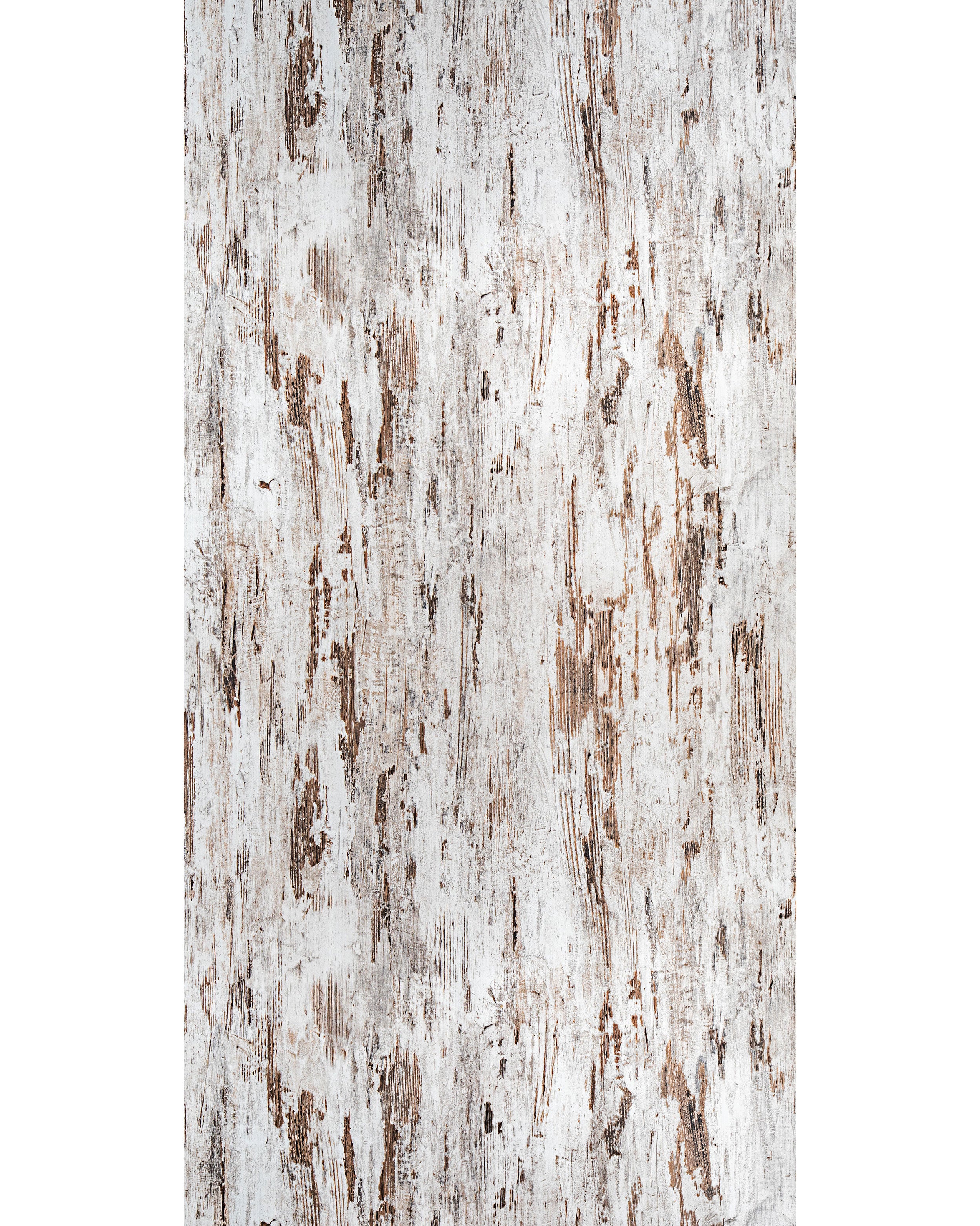 Weathered Tree - HG 9013