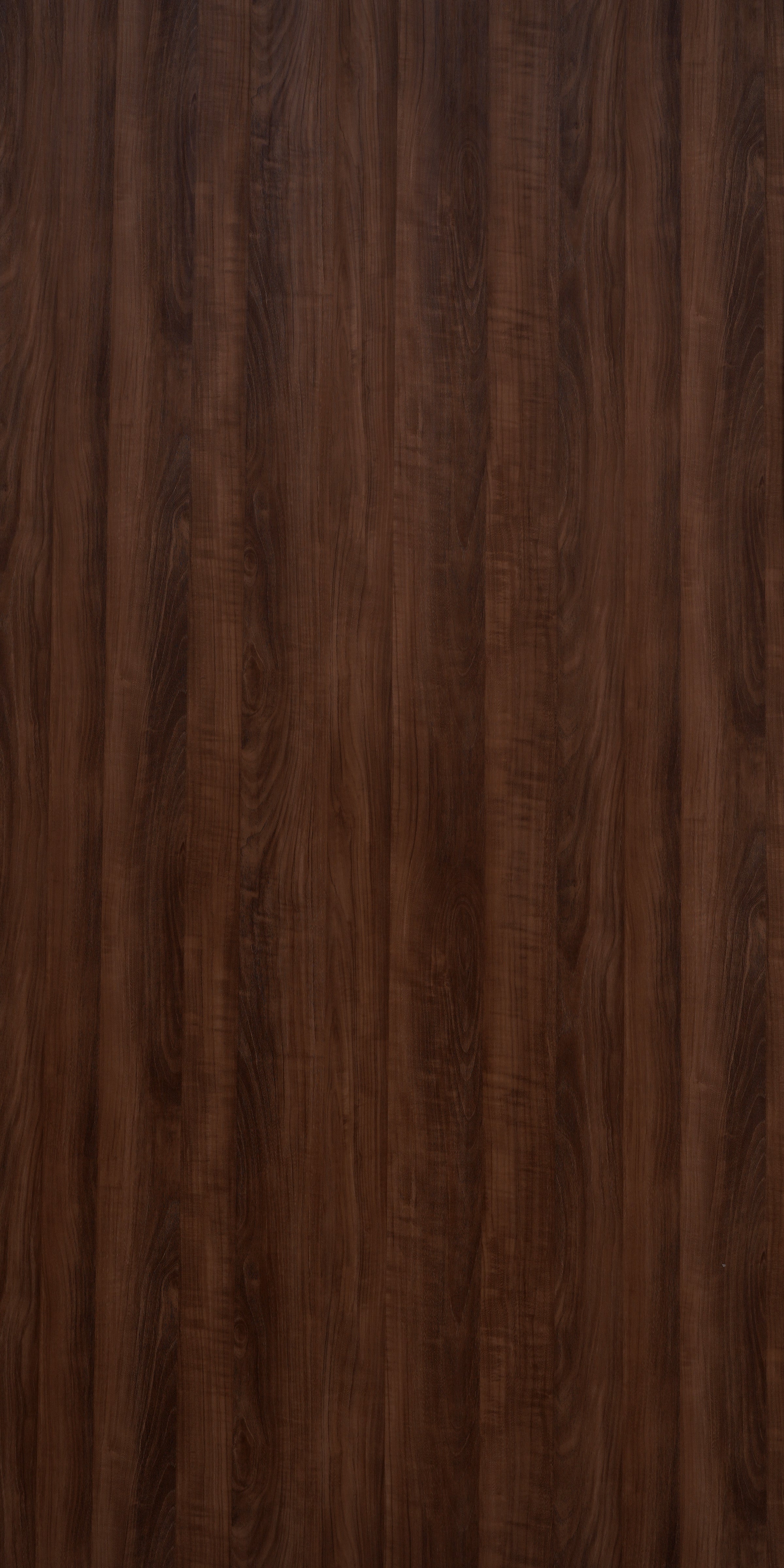 Brazilian Walnut - IC 1198